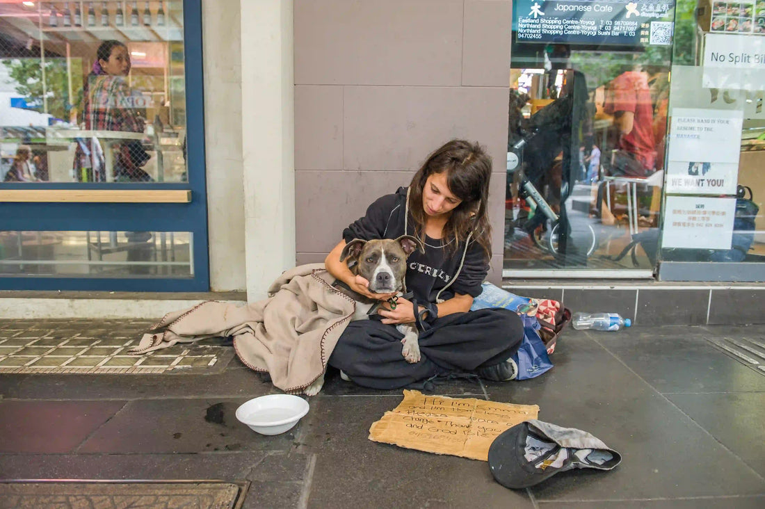 Pets of the Homeless Australia — supporting vulnerable pets and their owners